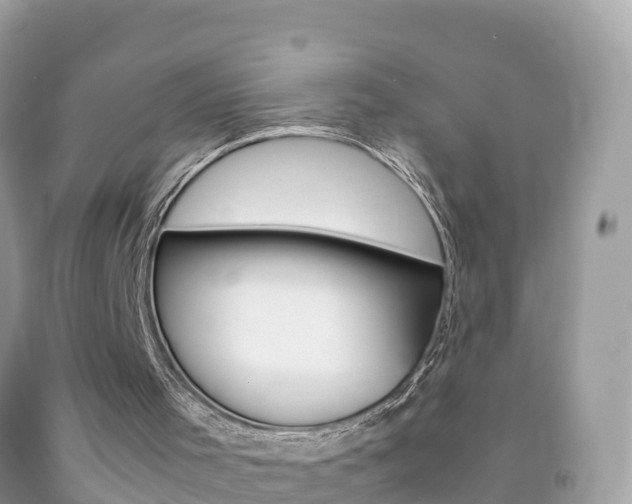 X0000092220001200709140931