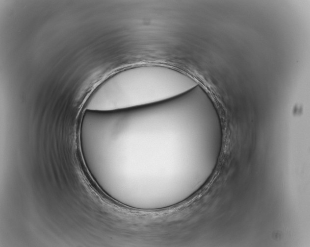 X0000092220002200709140931