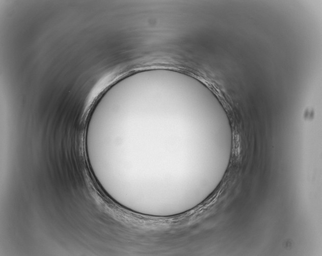 X0000092220004200709140931