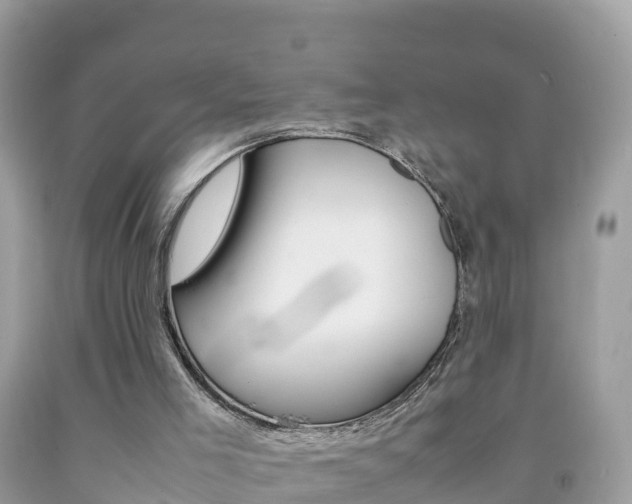 X0000092220005200709140931