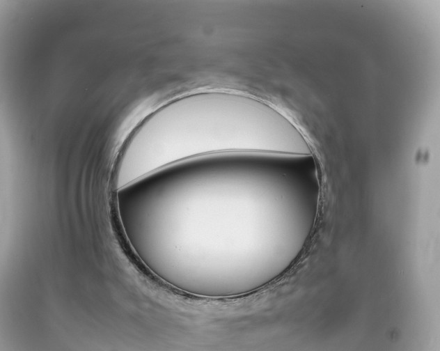 X0000092220007200709140931