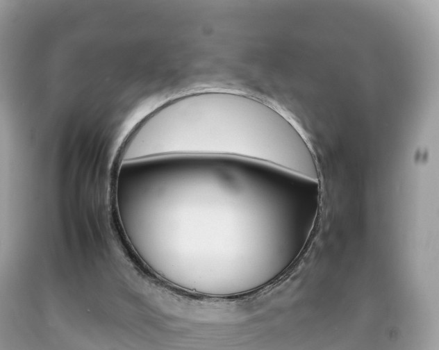 X0000092220008200709140931