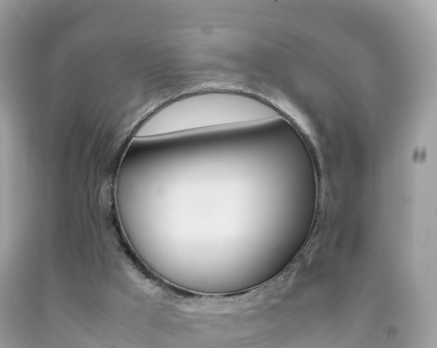 X0000092220009200709140931