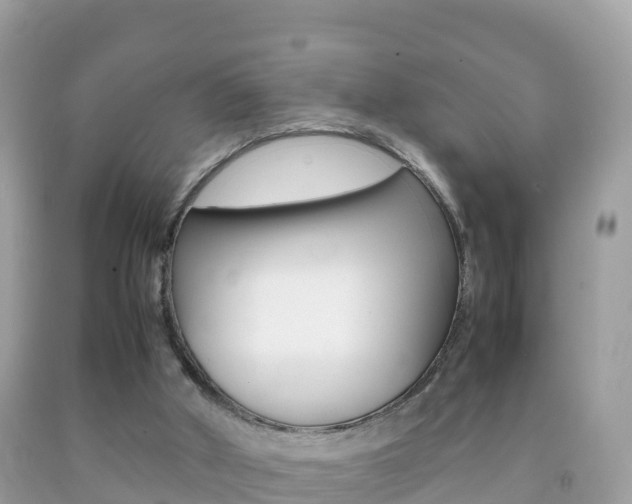 X0000092220010200709140931