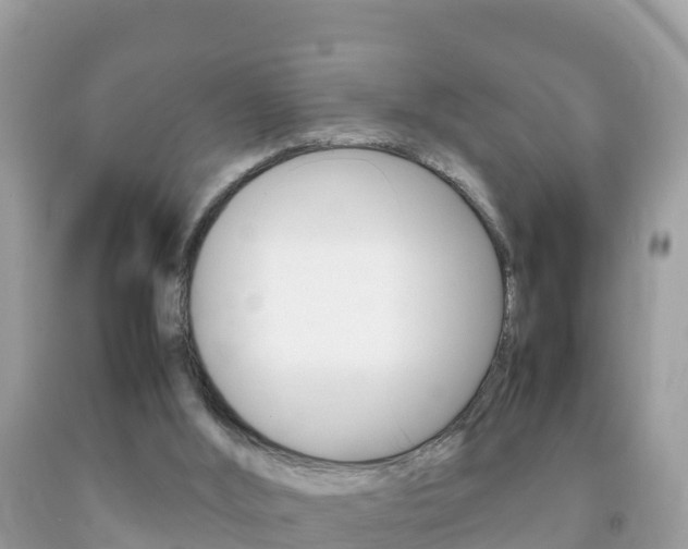 X0000092220012200709140931