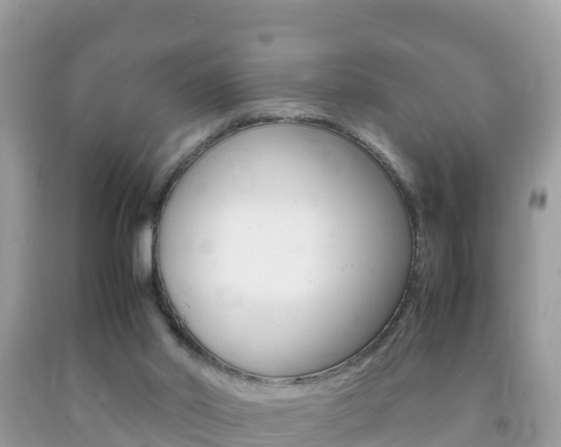 X0000092220014200709140931