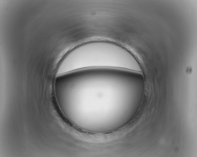 X0000092220015200709140931
