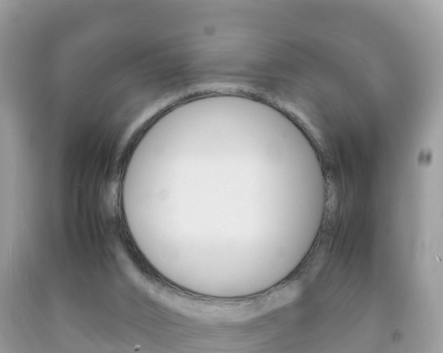 X0000092220016200709140931