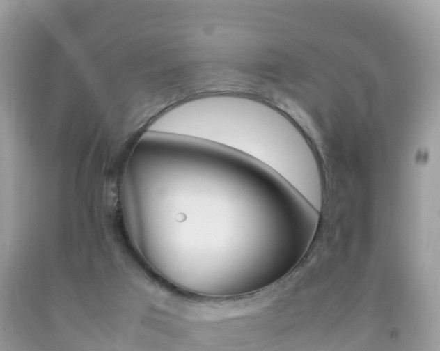 X0000092220017200709140931