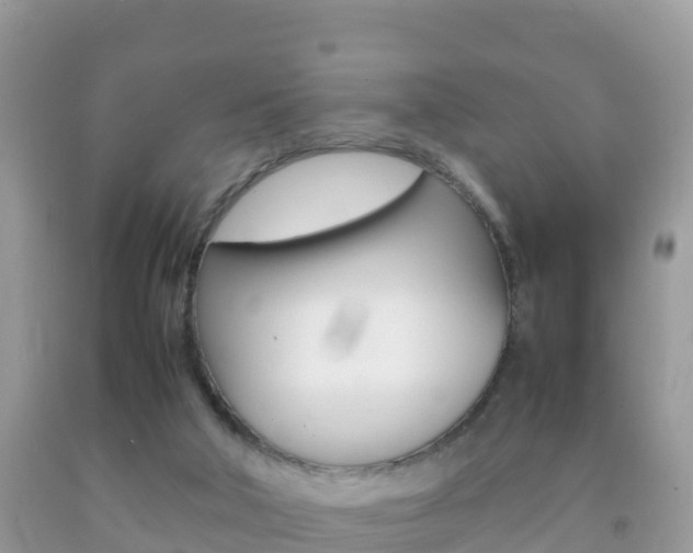 X0000092220018200709140931