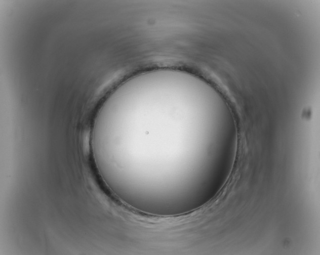 X0000092220019200709140931