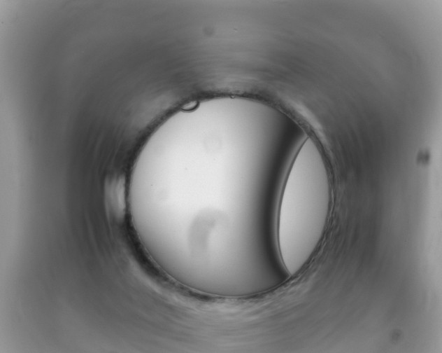 X0000092220020200709140931