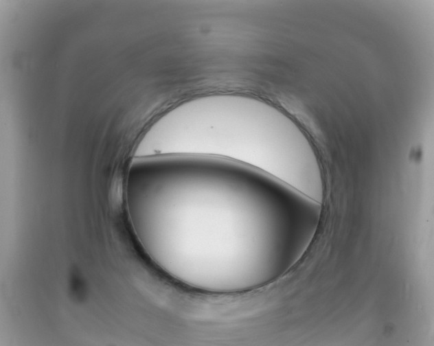 X0000092220021200709140931