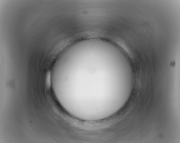 X0000092220022200709140931
