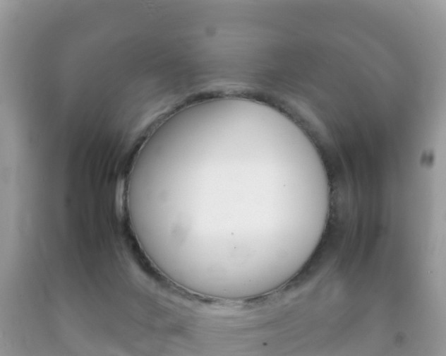 X0000092220024200709140931