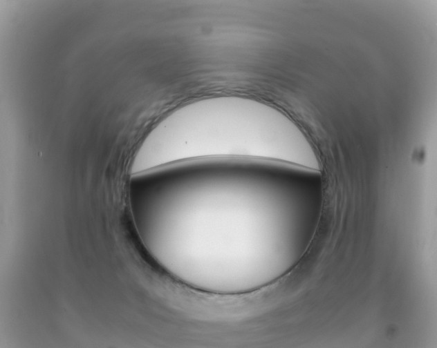 X0000092220031200709140931