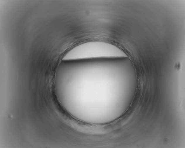 X0000092220032200709140931