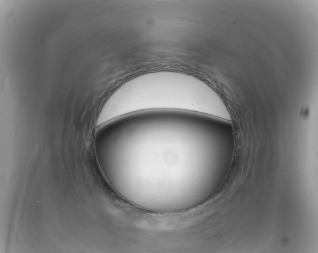 X0000092220033200709140931