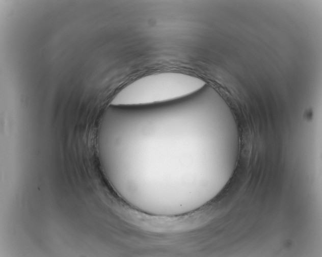 X0000092220034200709140931