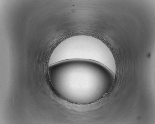 X0000092220039200709140931