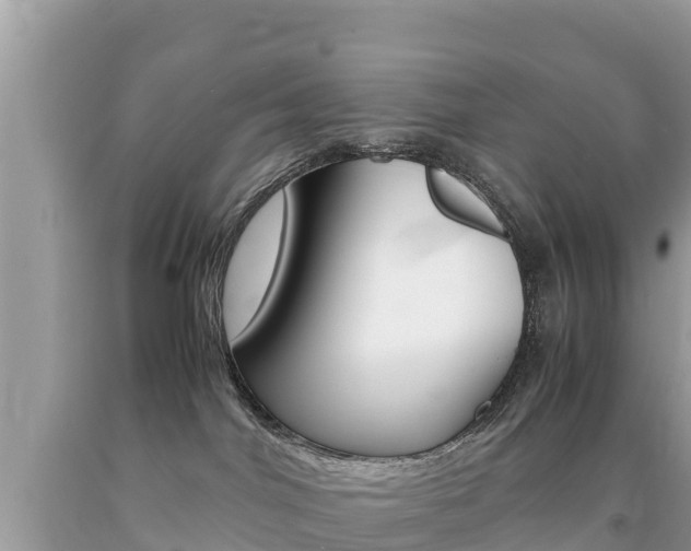 X0000092220044200709140930