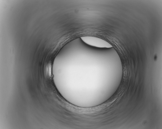 X0000092220046200709140930