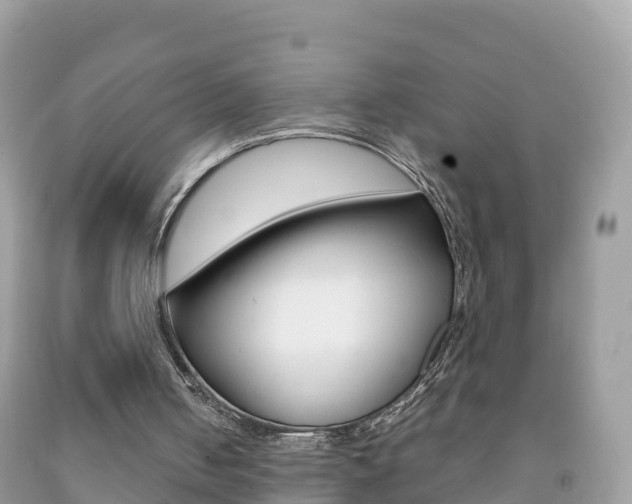 X0000092220050200709140930