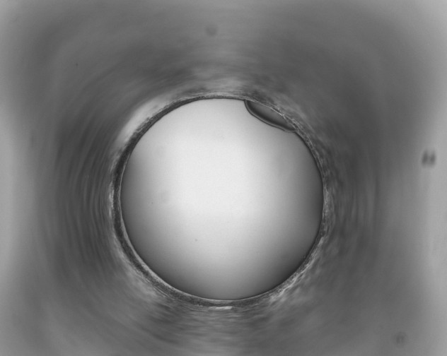 X0000092220054200709140930