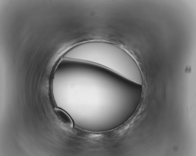 X0000092220055200709140930
