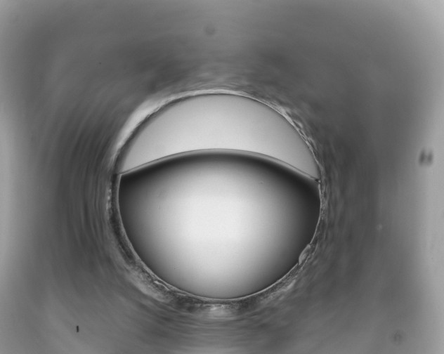 X0000092220056200709140930