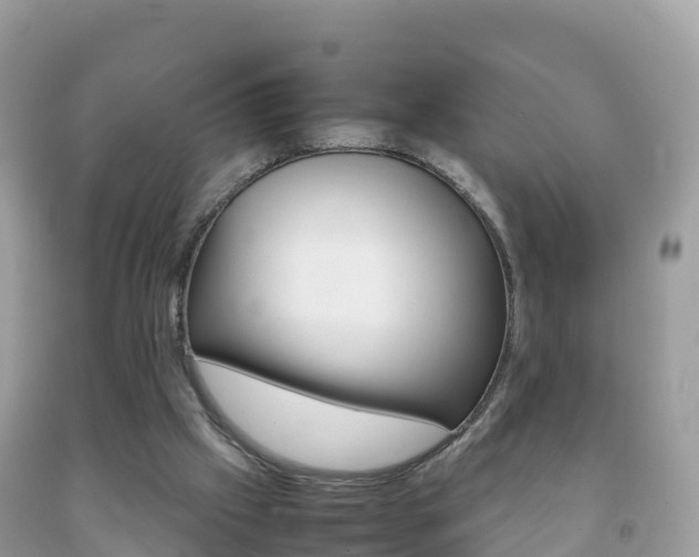 X0000092220057200709140930