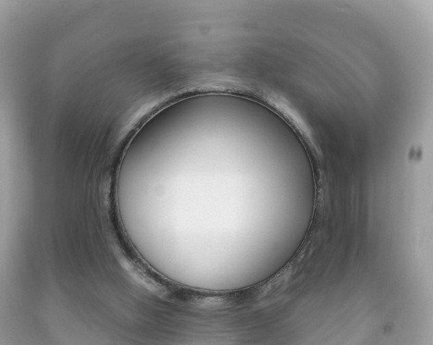 X0000092220058200709140930