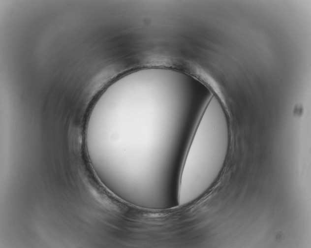 X0000092220059200709140930
