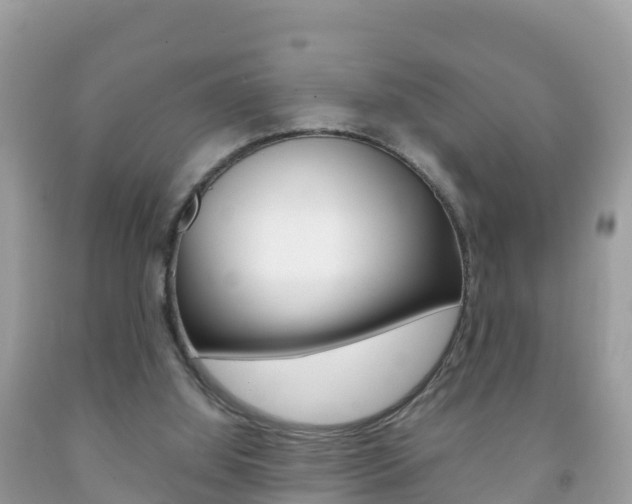 X0000092220060200709140930
