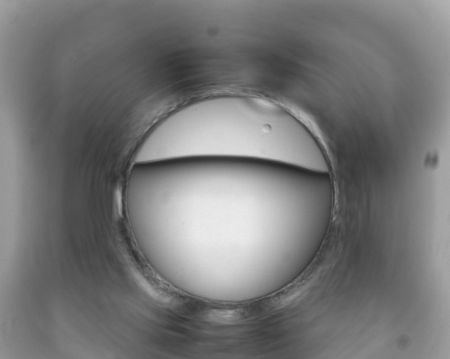 X0000092220061200709140930