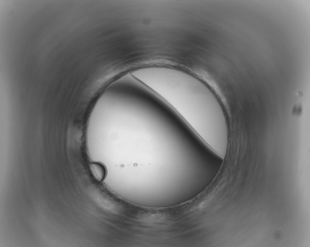 X0000092220063200709140930