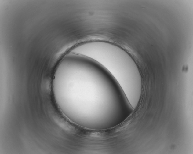 X0000092220064200709140930