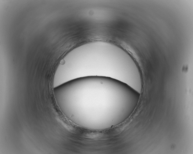 X0000092220065200709140930