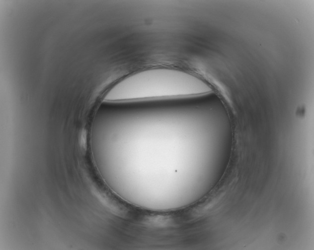 X0000092220067200709140930