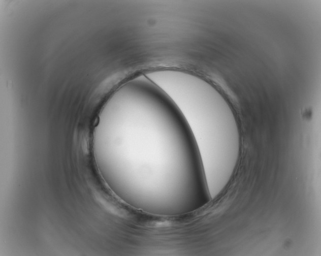 X0000092220068200709140930