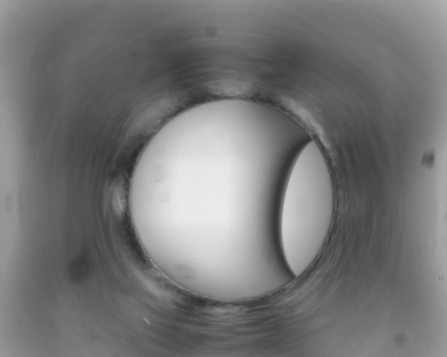 X0000092220069200709140930