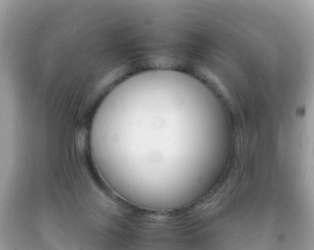 X0000092220071200709140930