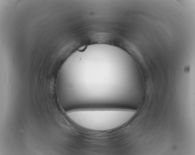 X0000092220073200709140930