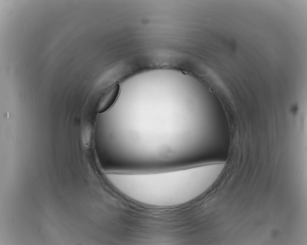 X0000092220076200709140930