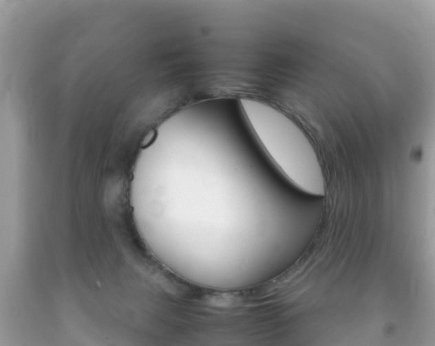 X0000092220079200709140930