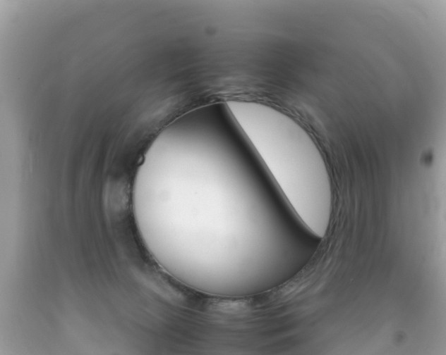 X0000092220081200709140930