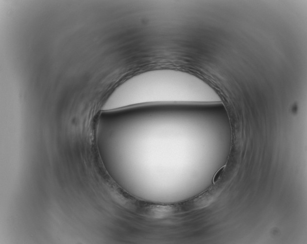 X0000092220085200709140930