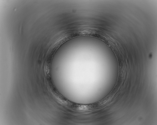 X0000092220091200709140930