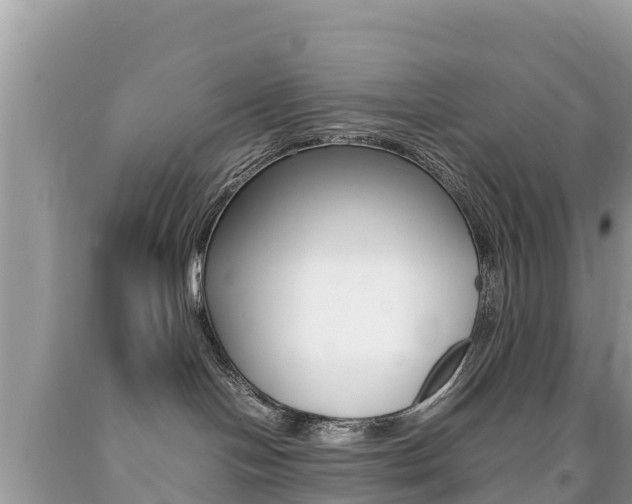 X0000092220094200709140930