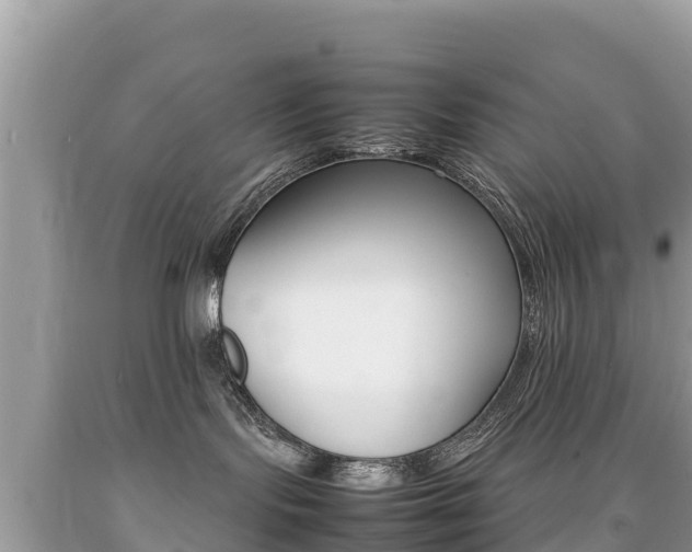 X0000092220095200709140930